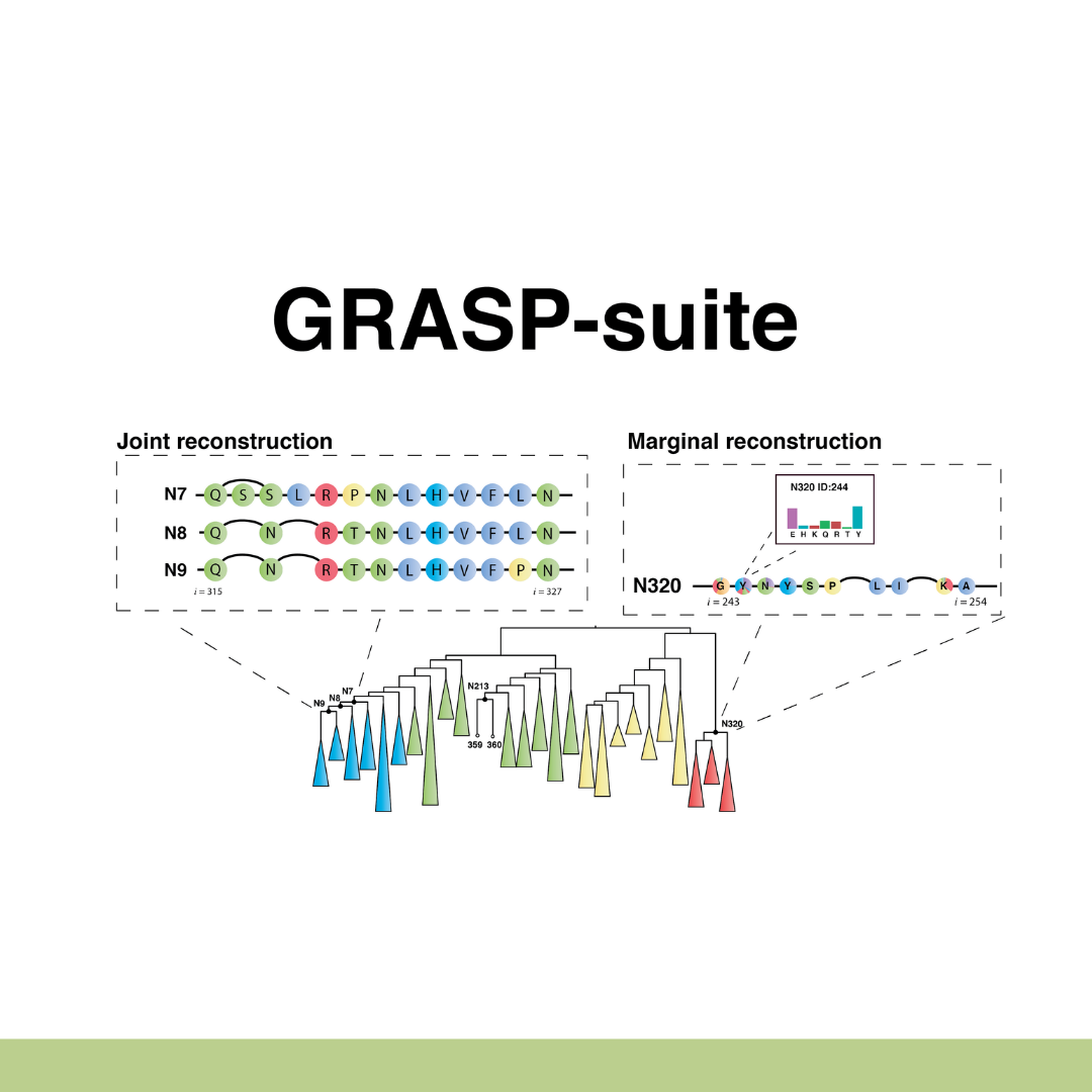  GRASP-suite
